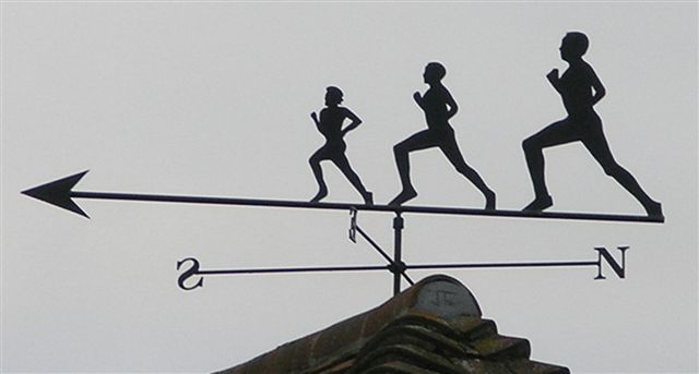 the village hall weathervane.jpg